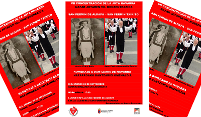 Concentracion jota navarra_opt